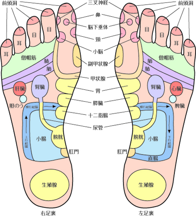 足 つぼ 表